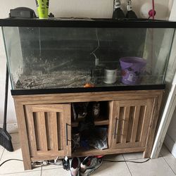 Fish tank + Stand + Filters + Fish Food