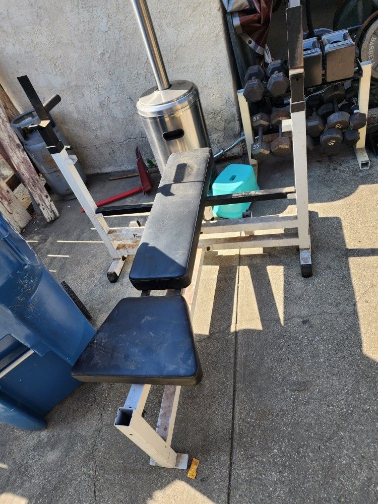 Weider Xrs 50 Weight Machine Chest Pull Down