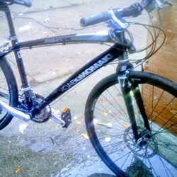 DIAMONDBACK INSIGHT 2