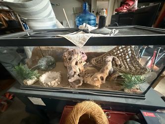 Terrarium