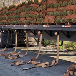 Fresh Sod Cut Every Morning 