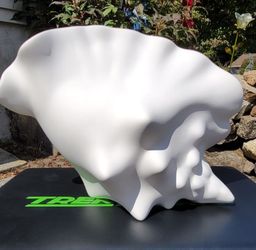 Key West Sconce Conch Shell