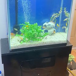 30 Gallons Tall Fish Tank $$125