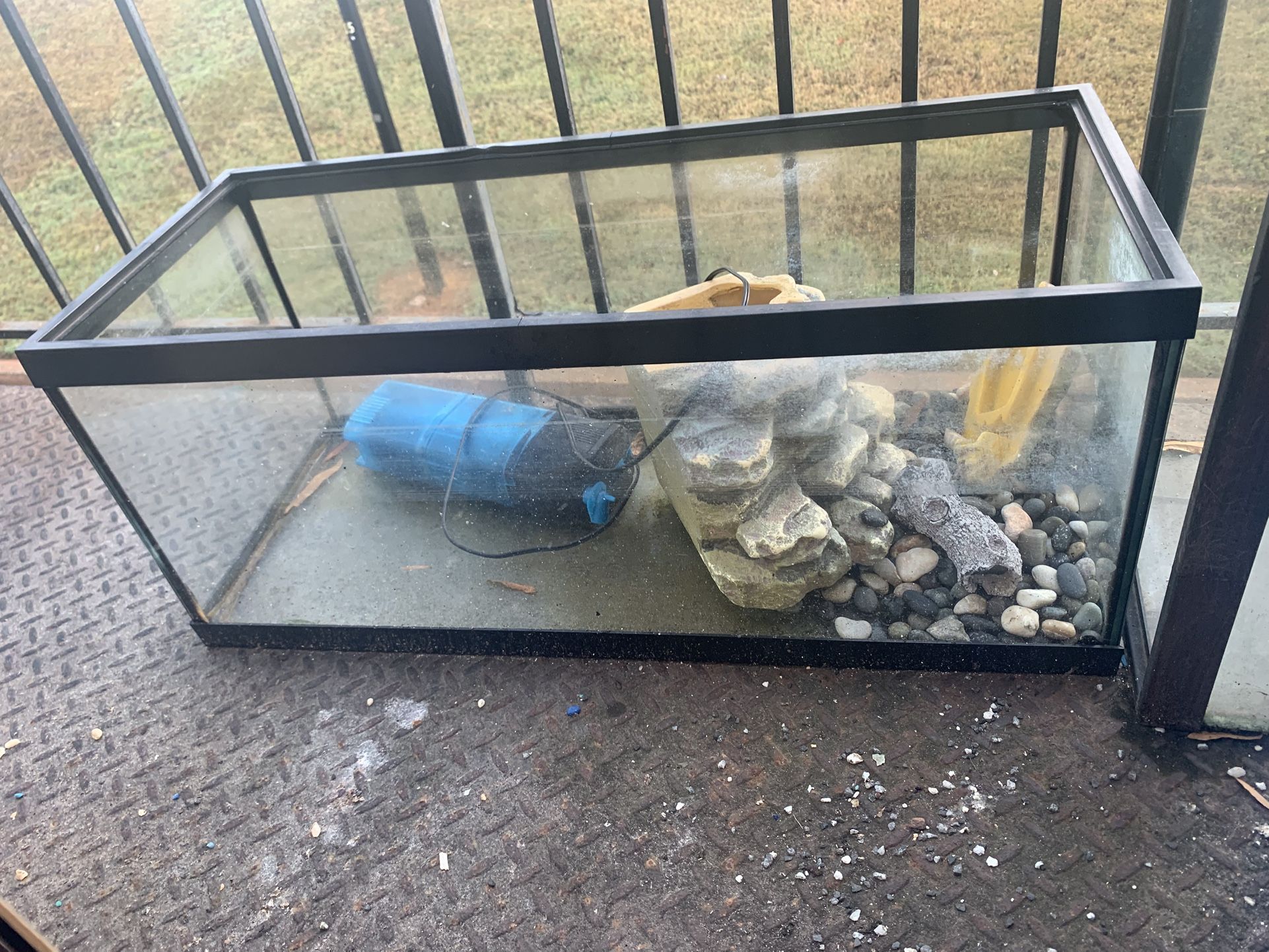 20 Gallon Long Aquarium