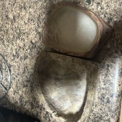 Reptile Bowls