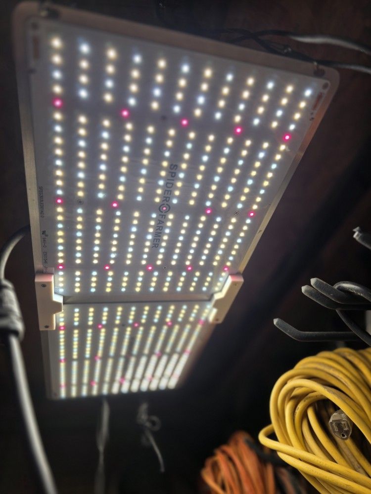 Led Light