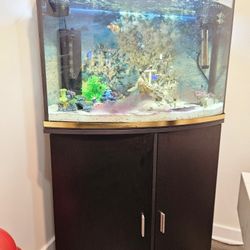 45 Gal fish Tank