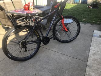 BCA 29” Big Bike