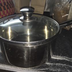 3qt Stainless Steel Cook Pot