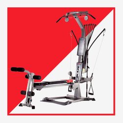 Bowflex Blaze