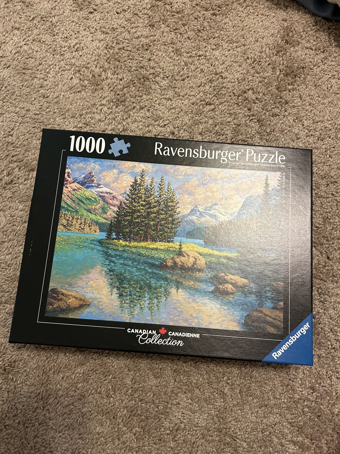 1000 Piece Puzzle