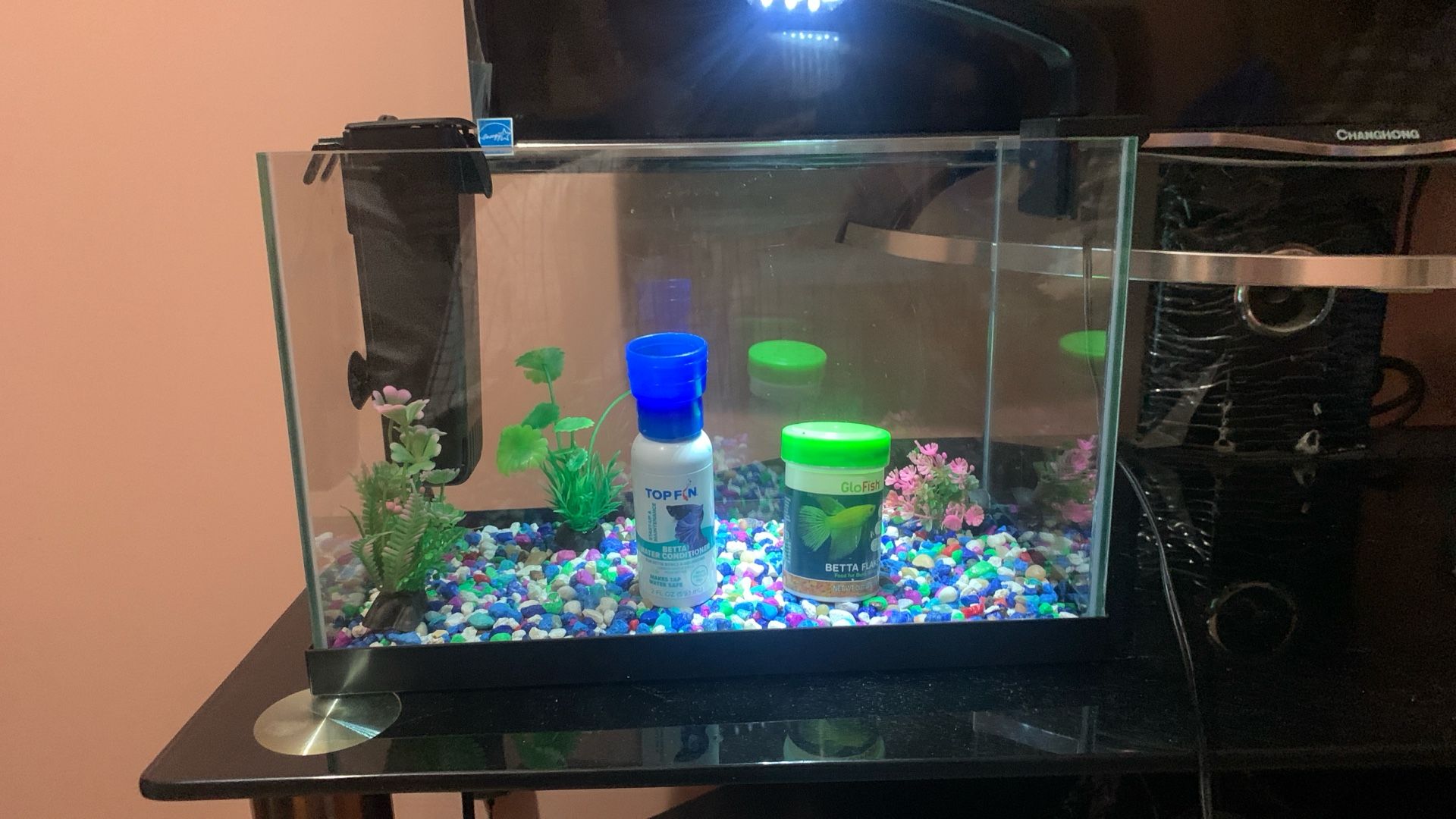 Fish Tank