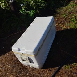 Igloo Cooler
