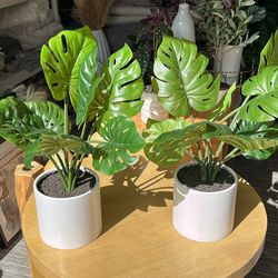 Pair Of White Pot Plant Deco