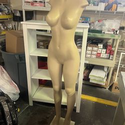 Maniquinn  
