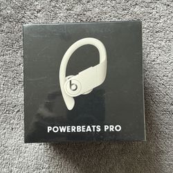 Beats by Dr Dre Powerbeats Pro Wireless