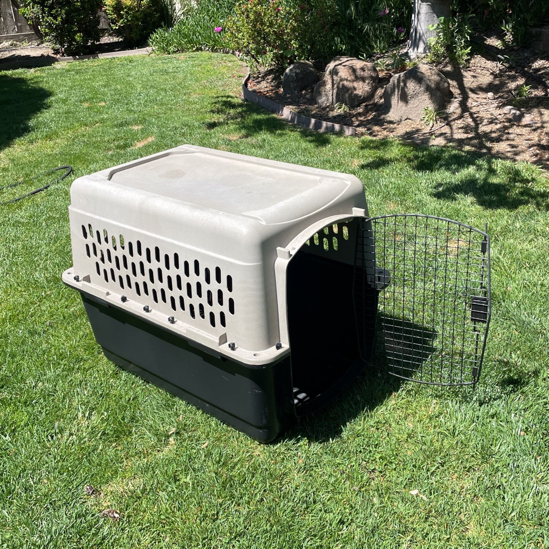 Dog Crate