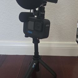 GoPro Hero 11 W/ Zoom H1N MIC