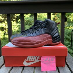 2003 Jordan 12 flu game size 10.5