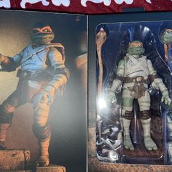 The Mummy Ninja Turtle 