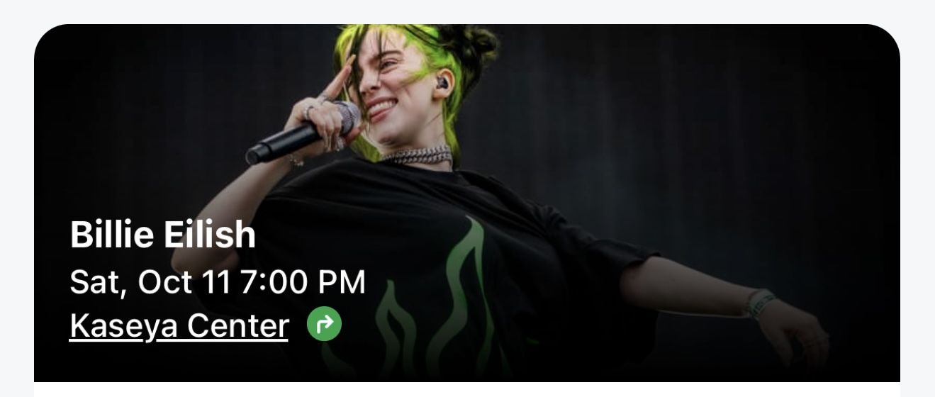 Billie Eilish Concert 1 Ticket Section 318