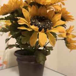 Hermoso Florero De Rosas De Girasol