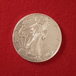 2020 Silver Eagle