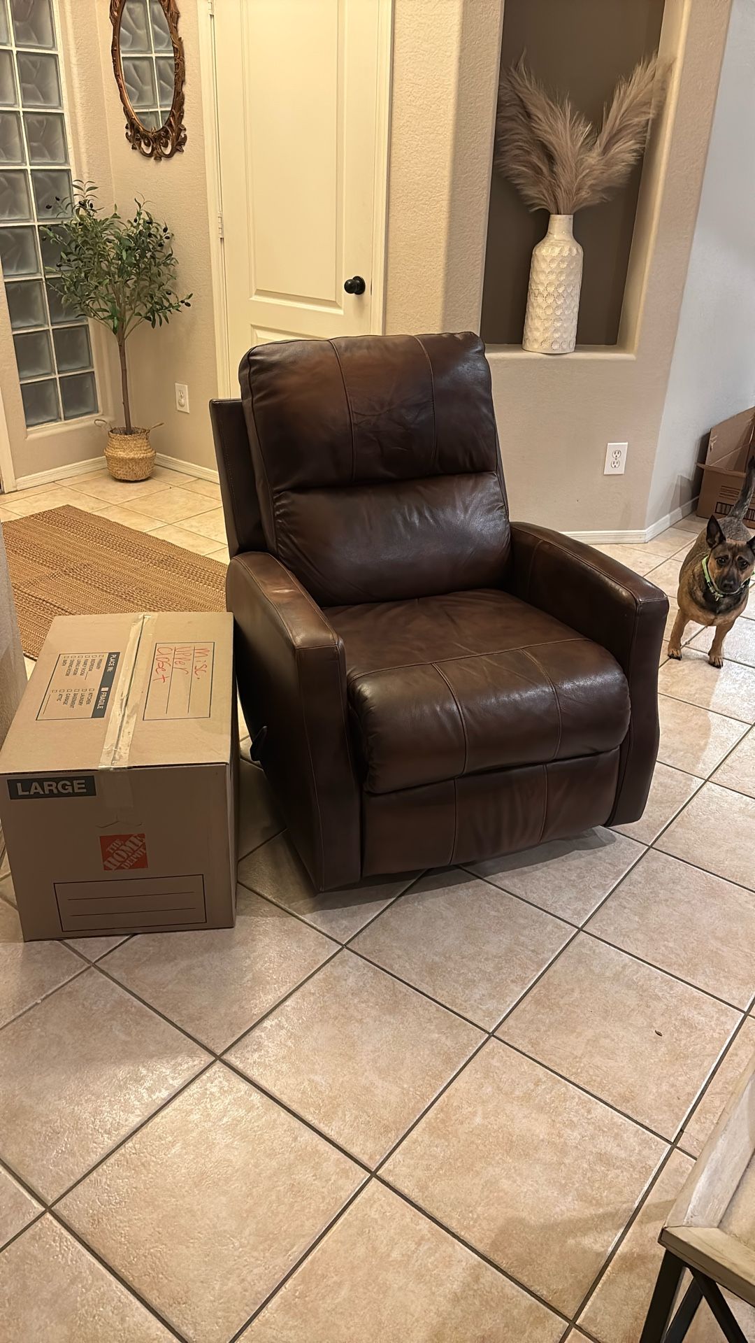 Brown Recliner 