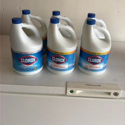 Clorox Bleach