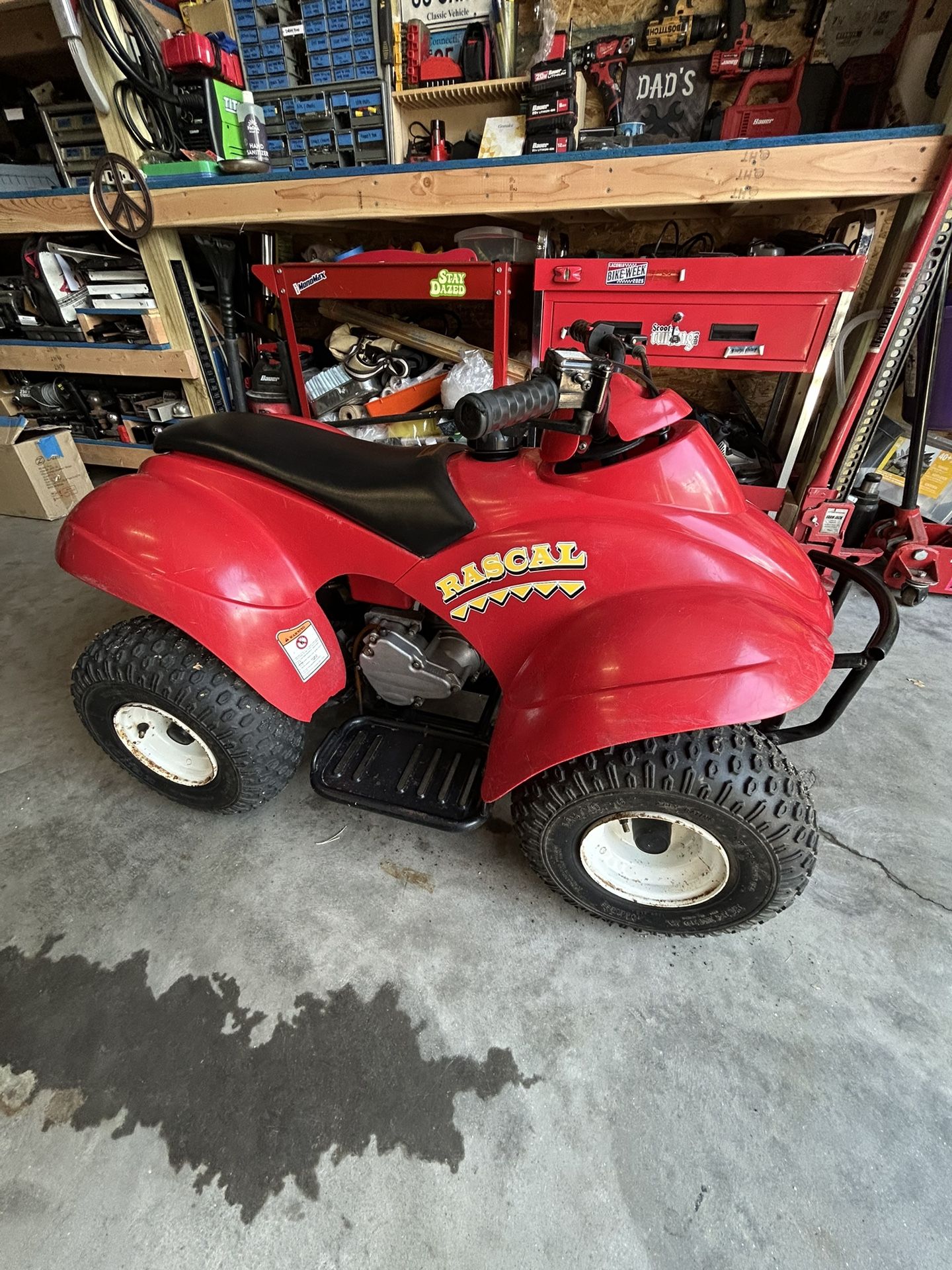 Great Condition 2002 E-Ton Rascal 40cc Youth Automatic Atv for Sale in ...