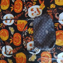 Small Coach Bag