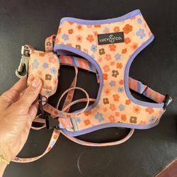 Lucy and CO dog Harness 