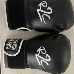 Boxing Gloves (new)
