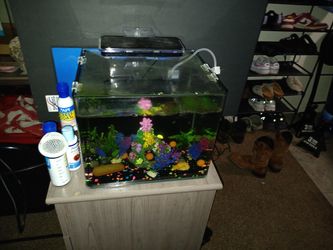 Small Cubed 7 Gallon Aquarium.