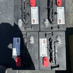 Interstate 6volt Batteries