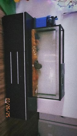 Fish Tank