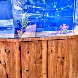 Beautiful Aquarium Set Up 