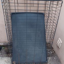 Used Dog Crate