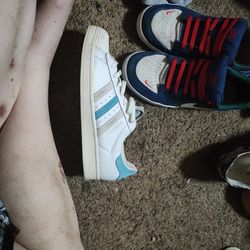 Adidas Shell Toe 