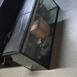 Fish Tank