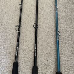 Bottom / Live Bait / Trolling Rod Set