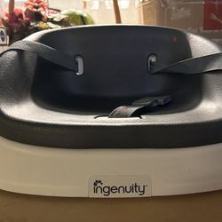 Ingenuity booster seat