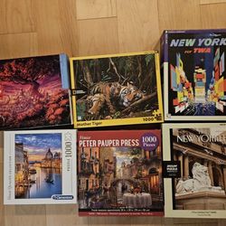 Selling 6 Puzzles