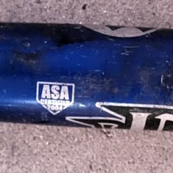 Worth Insanity Softball 34/28