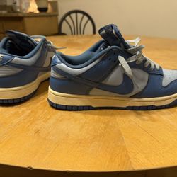 Nike Dunks Size 9.5