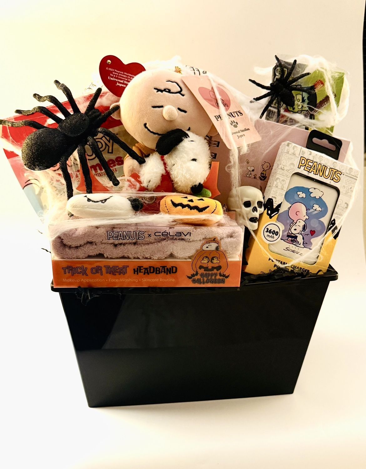 Spooky Snoopy Halloween Basket