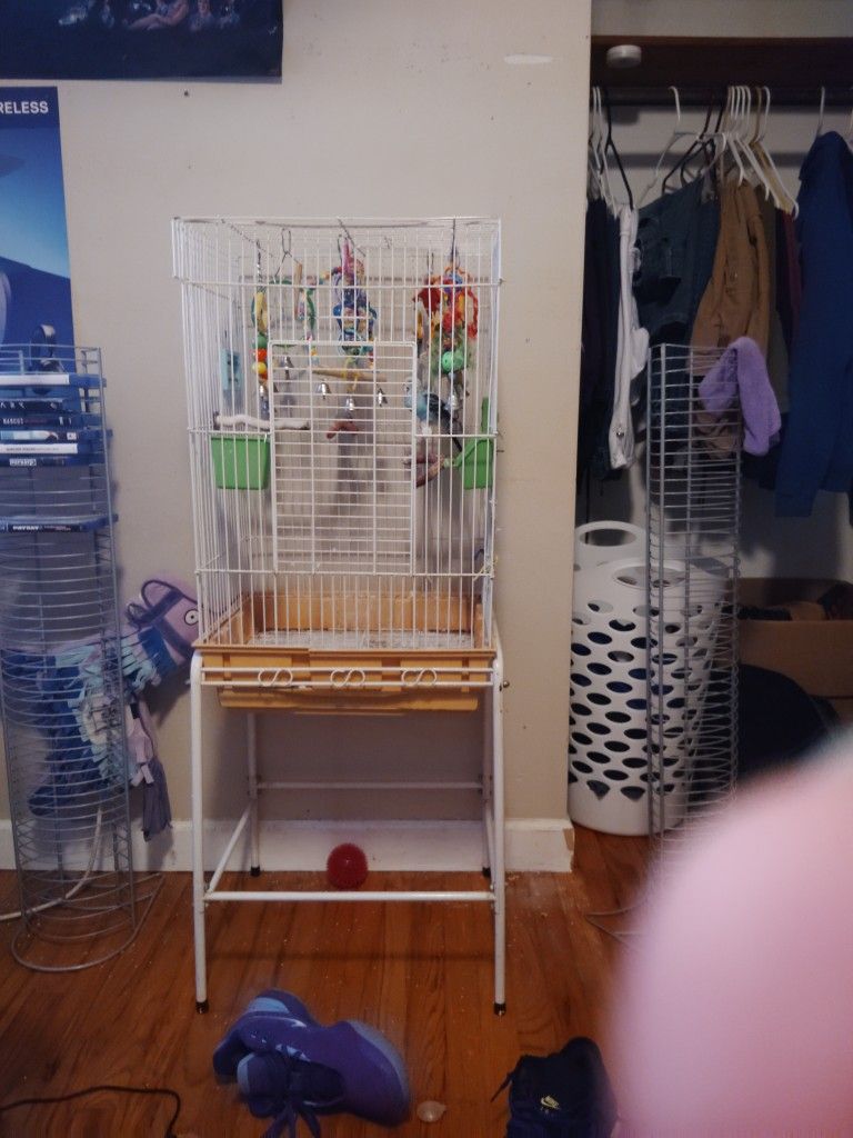 Bird/ Cage For Sale
