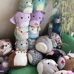 Large Squishmellow 