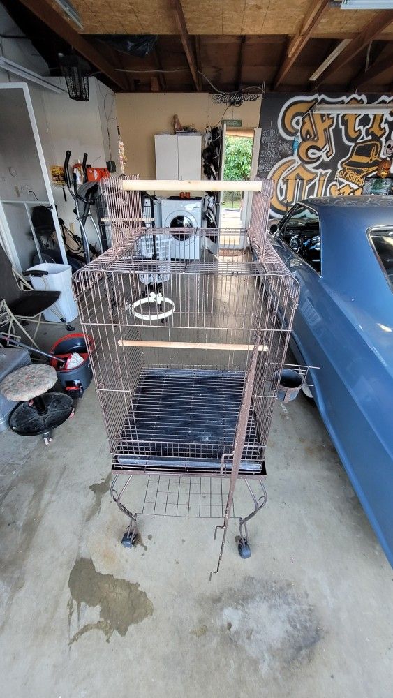 BIRD CAGE