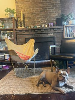 Urban outfitters butterfly chair sale